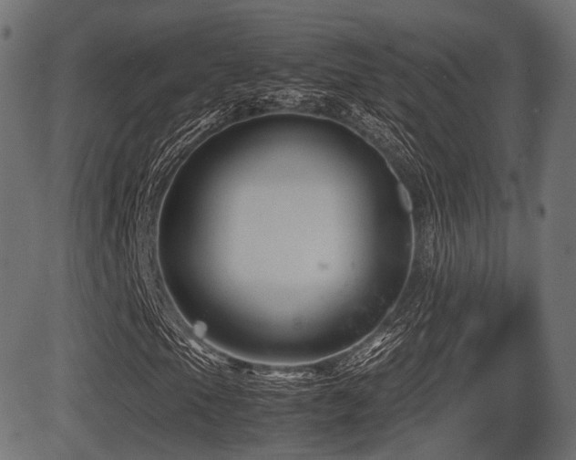 X0000081471105200701121412
