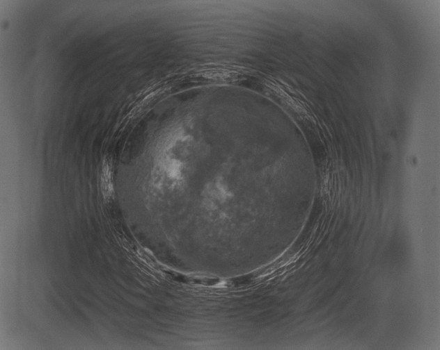 X0000081471106200701121412