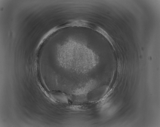 X0000081471115200701121412