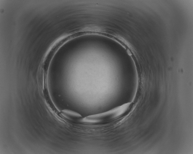 X0000081471123200701121412