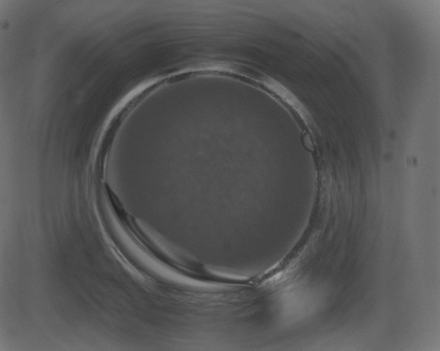 X0000081471127200701121412