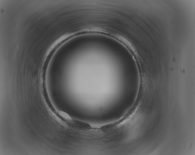 X0000081471133200701121412