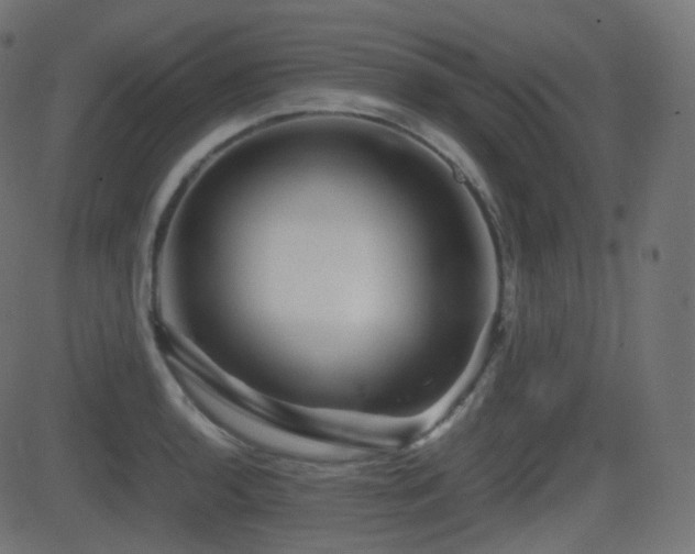 X0000081471136200701121412