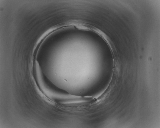 X0000081471147200701121413