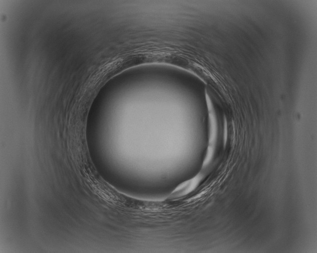 X0000081471153200701121412