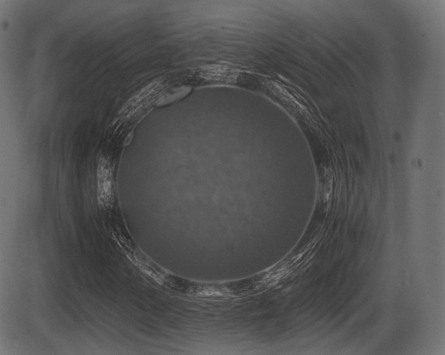 X0000081471154200701121412