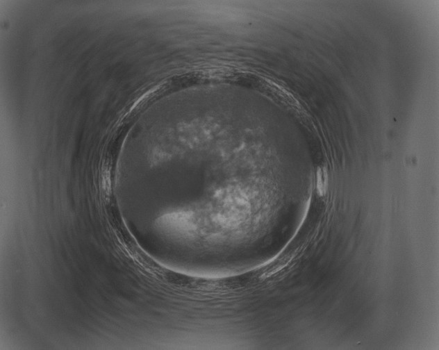 X0000081471155200701121412