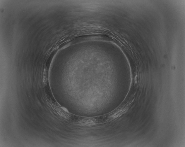 X0000081471156200701121412