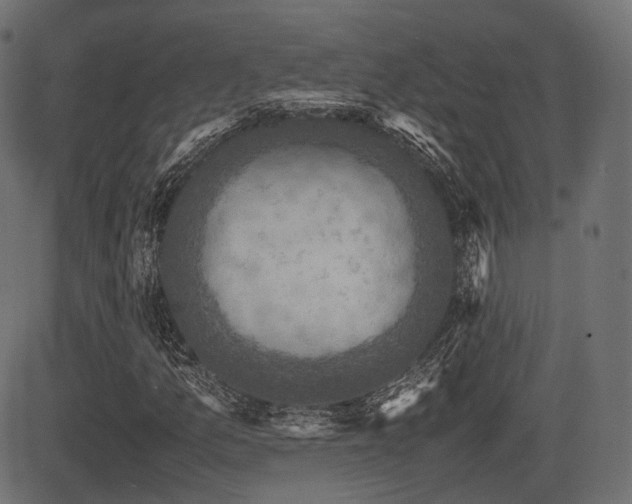 X0000081471157200701121412