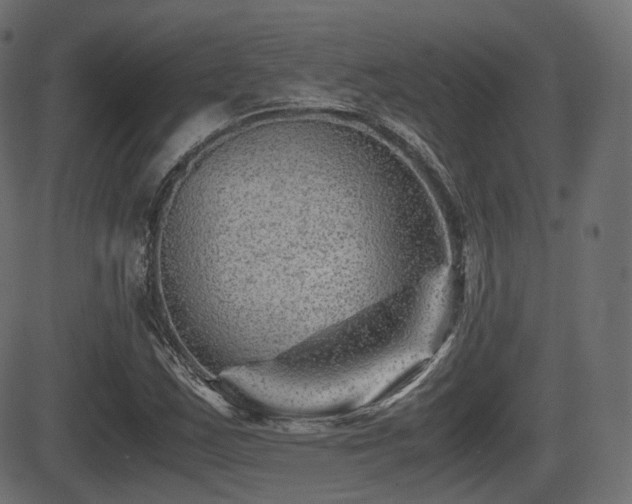 X0000081471163200701121412