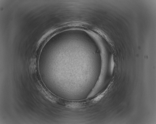 X0000081471164200701121412
