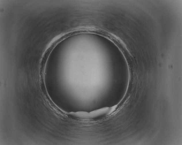 X0000081471168200701121412