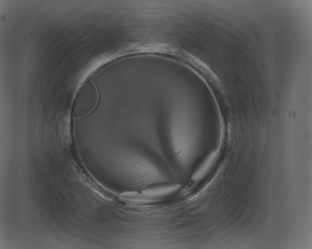 X0000081471174200701121411