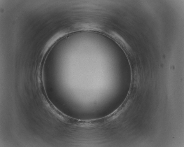 X0000081471182200701121411