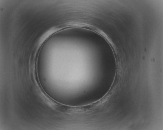 X0000081471187200701121411