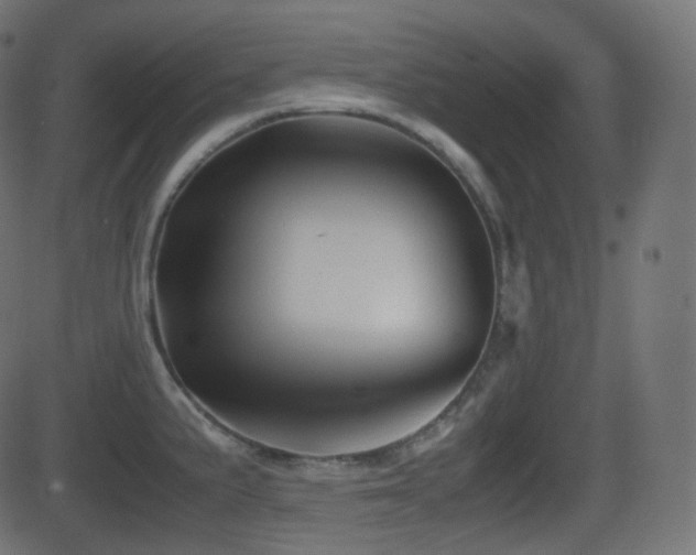X0000081471191200701121411