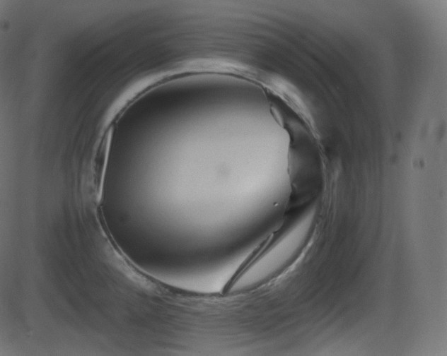 X0000081471192200701121411