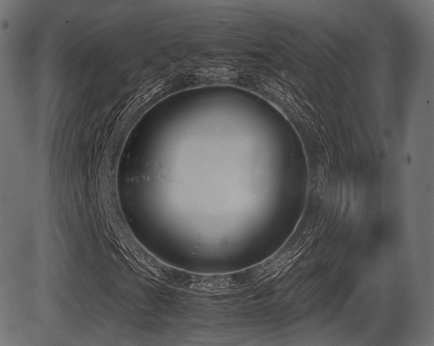 X0000081471201200701121410