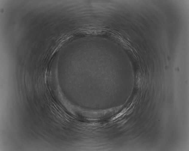 X0000081471202200701121410