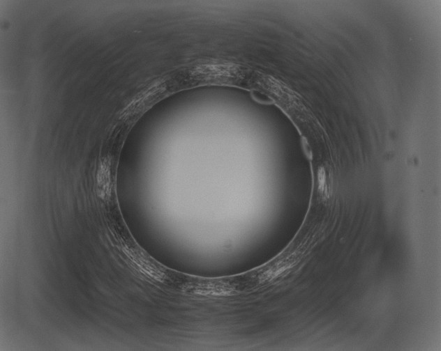 X0000081471203200701121410