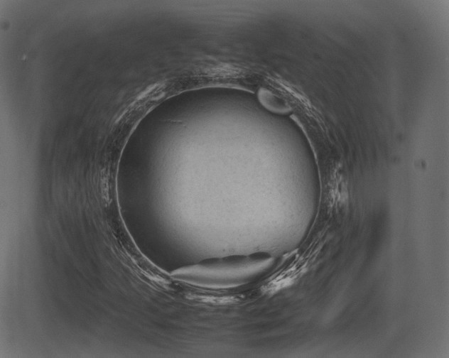 X0000081471205200701121410