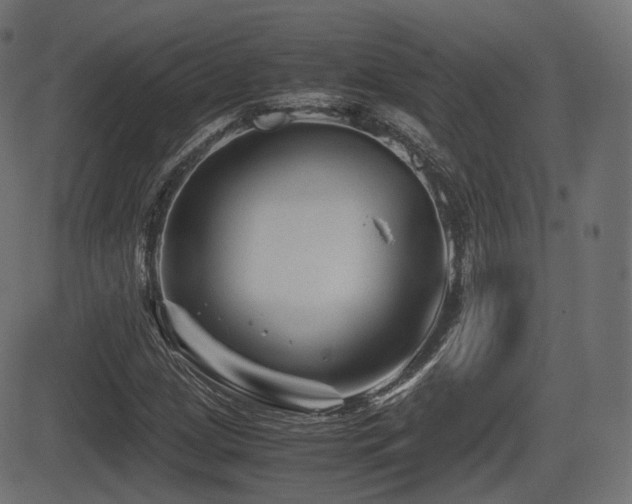 X0000081471209200701121410