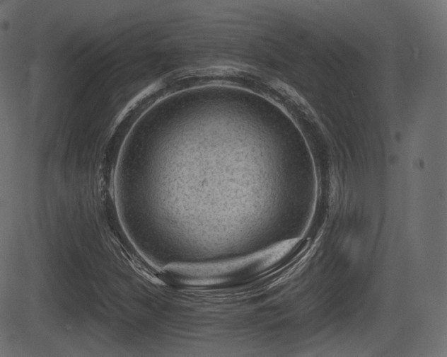 X0000081471210200701121410