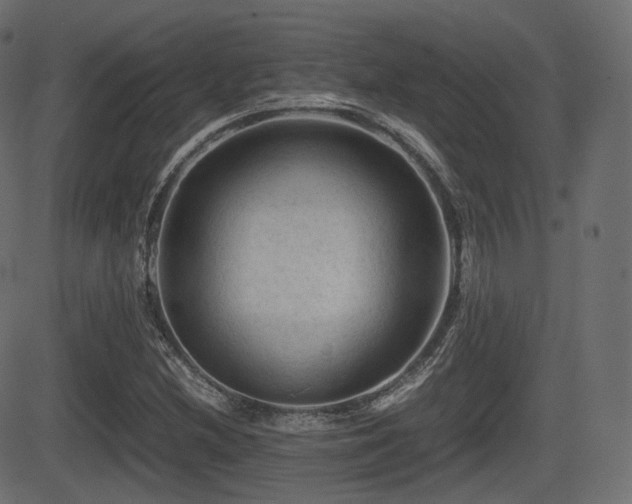 X0000081471212200701121410
