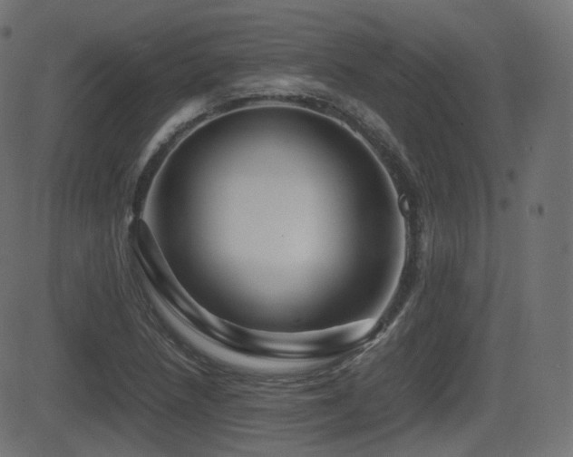 X0000081471218200701121411