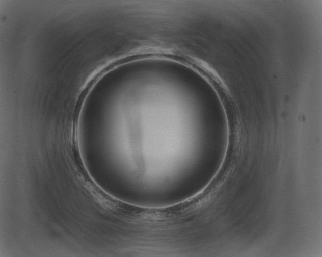 X0000081471220200701121411