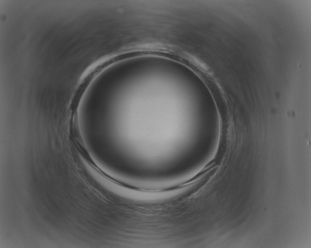 X0000081471222200701121411
