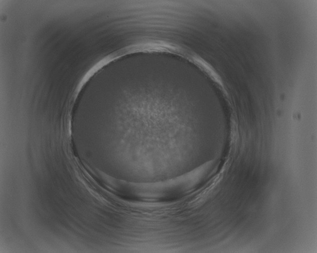 X0000081471226200701121411
