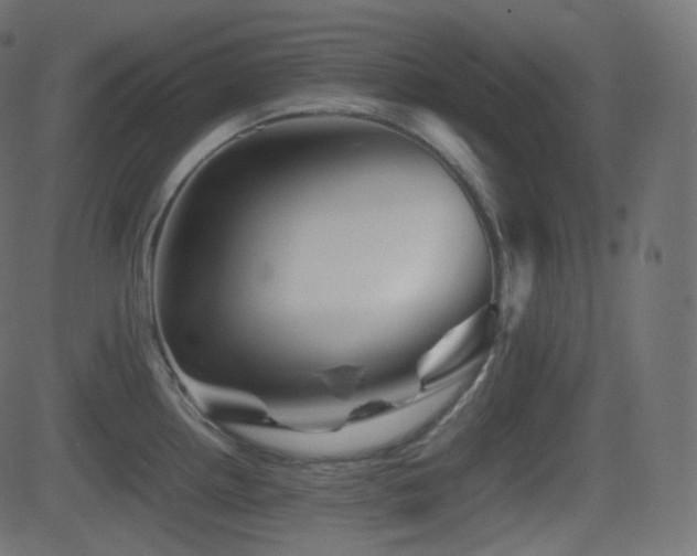 X0000081471242200701121411