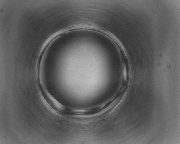 X0000081471246200701121411