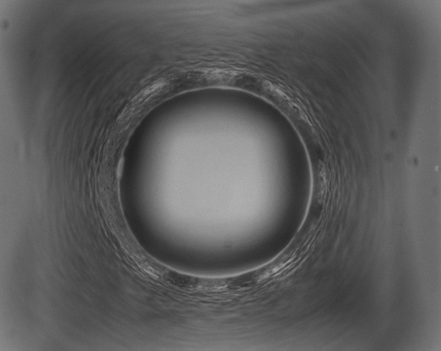 X0000081471249200701121410