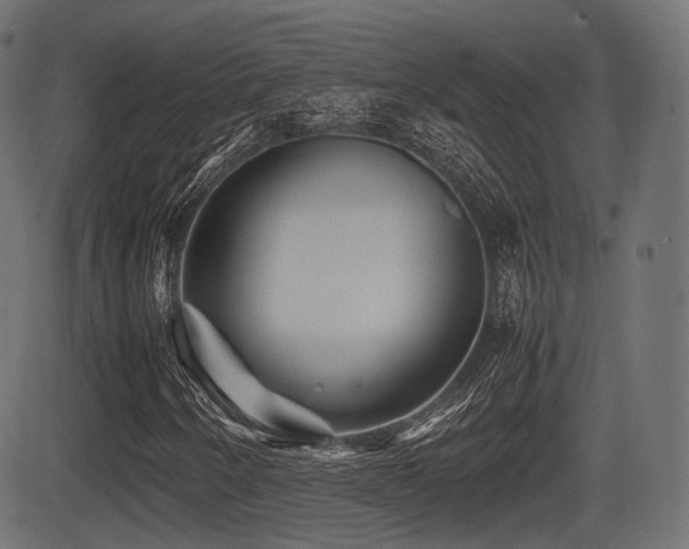 X0000081471250200701121410