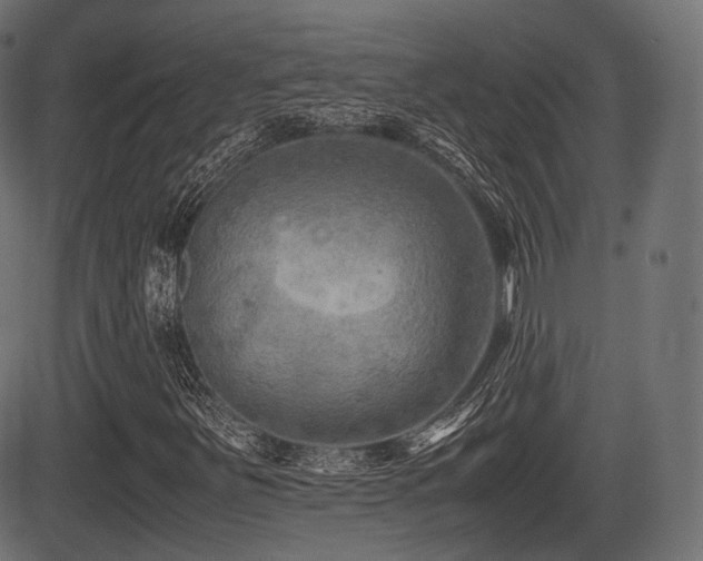 X0000081471251200701121410