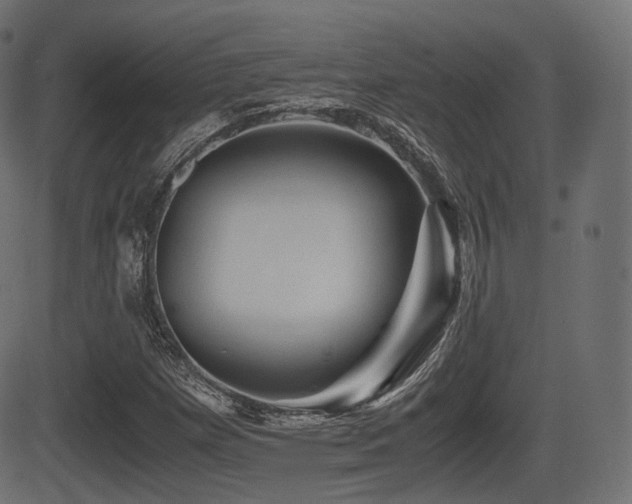 X0000081471257200701121410
