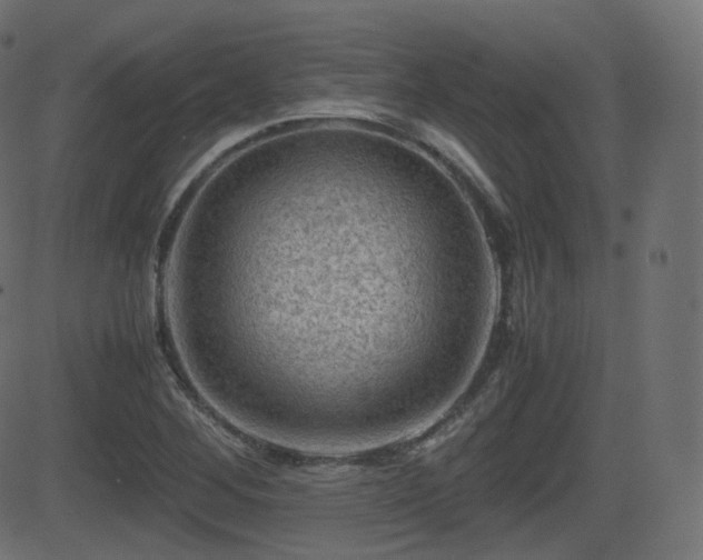 X0000081471268200701121410