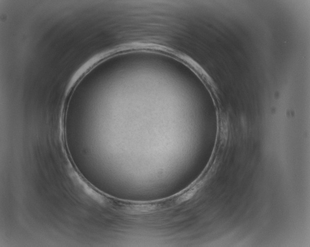 X0000081471294200701121410