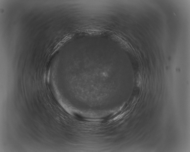X0000081471298200701121409