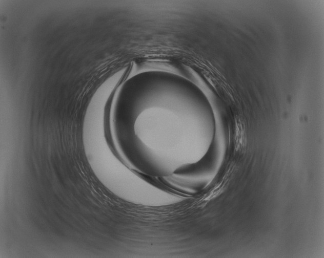 X0000081471300200701121409