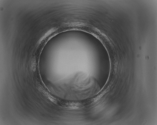 X0000081471306200701121409