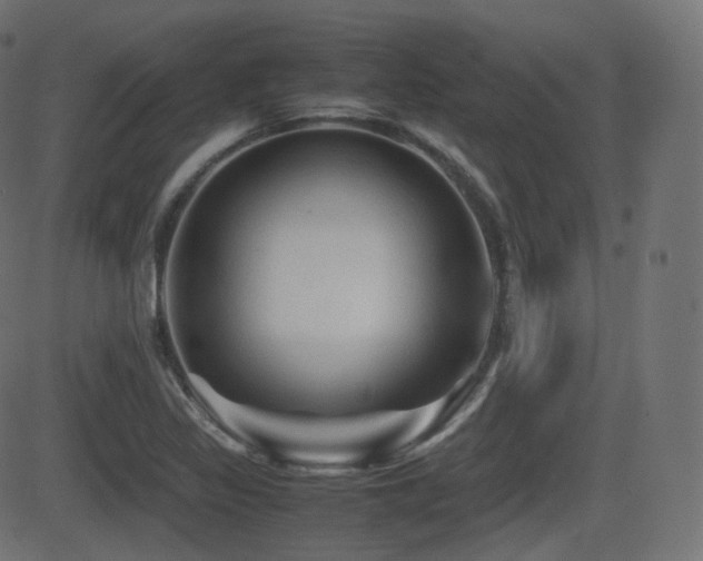 X0000081471317200701121409