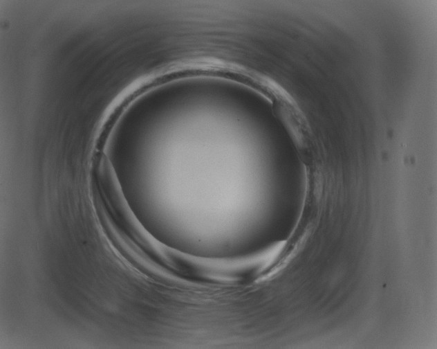 X0000081471326200701121409