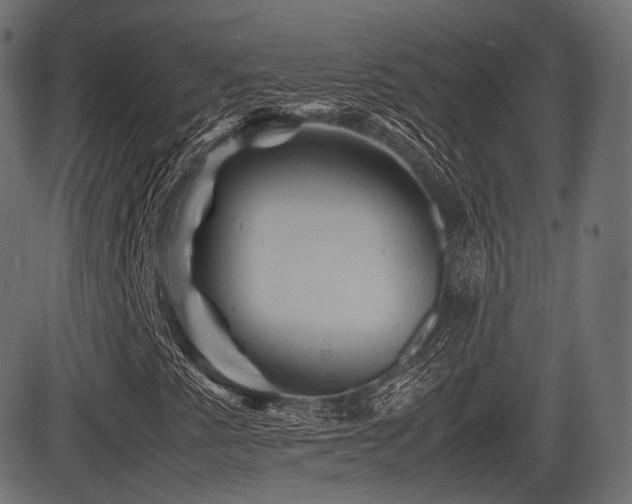 X0000081471345200701121409