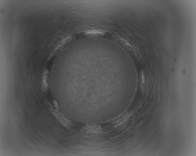 X0000081471346200701121409