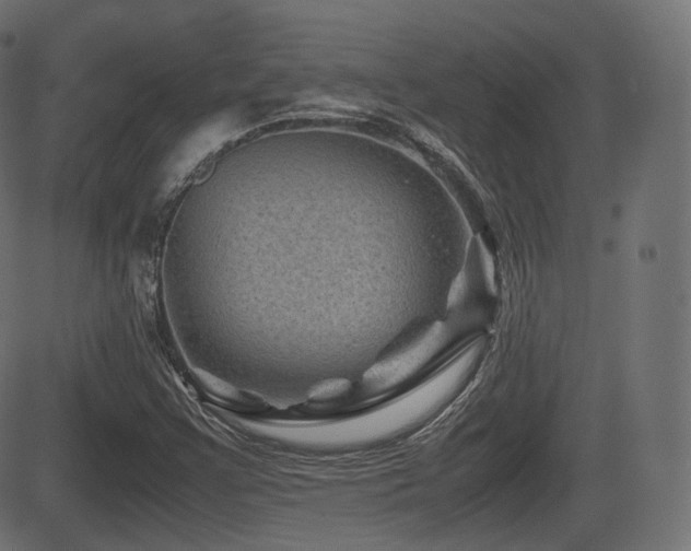 X0000081471355200701121409