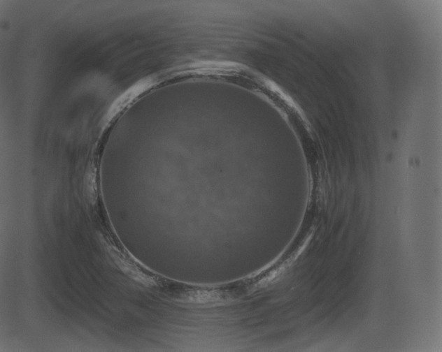 X0000081471362200701121408