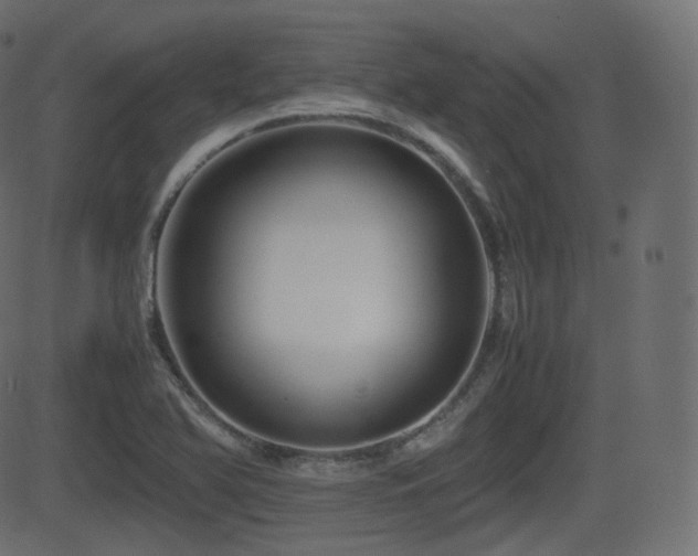 X0000081471366200701121408